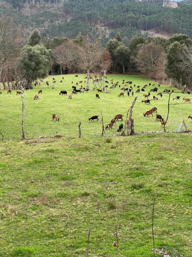 Casa D' Alem Turismo E Natureza - Refugio Do Valouto Torneiro Eksteriør bilde